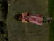 DSCN1170.JPG
