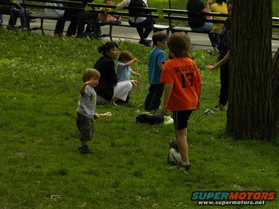Children playing in a grassy park area with adults sitting on benches in the background
