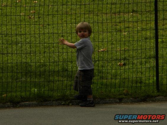 Child in gray shirt and patterned shorts stands near a fence with a grassy background