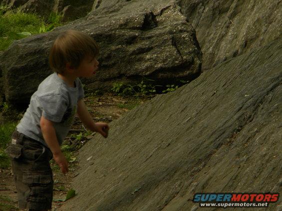 Child in a grey t-shirt and cargo shorts looking at large rocks outdoors