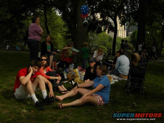 People enjoying a picnic in a park with trees and buildings in the background