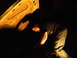 DSCN1244.JPG