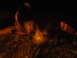 DSCN1265.JPG