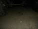 DSCN1293.JPG