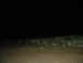 DSCN1295.JPG