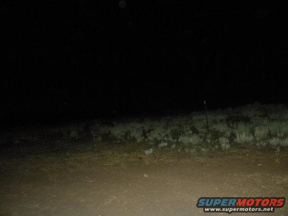 Dark outdoor scene with dry grass and a fence post, illuminated by headlights