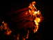 DSCN1308.JPG