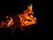 DSCN1313.JPG