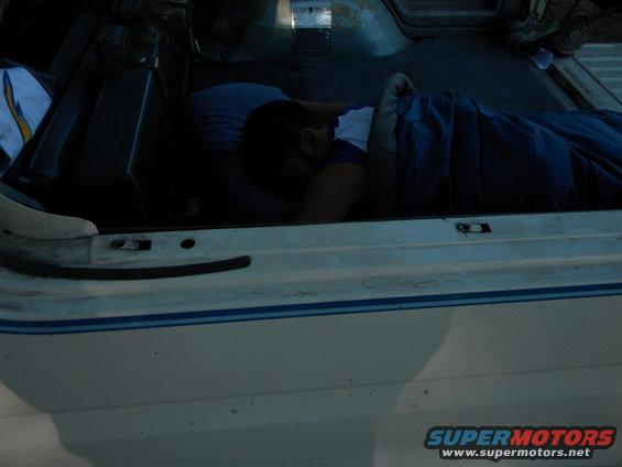 Person sleeping in the cargo area of a white vehicle with blue trim