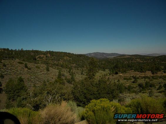 Landscape view with trees and hills under a clear blue sky