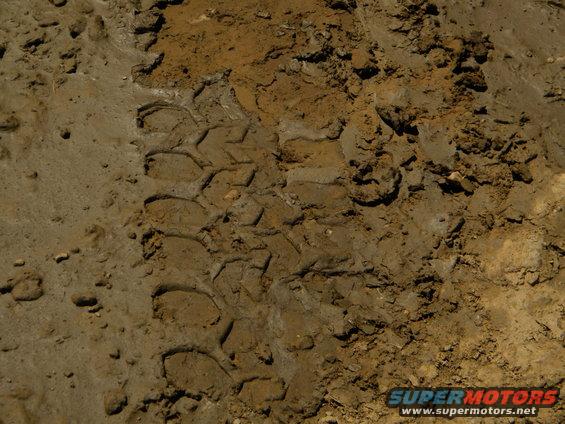 Tire tracks in mud