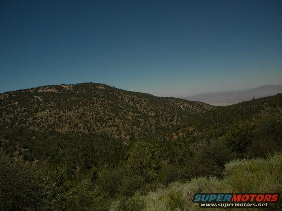 Hilly terrain with scattered trees under a clear blue sky. A distant valley is visible