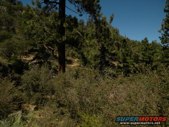 Wooded hillside with blue sky and "SUPERMOTORS" watermark