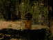 DSCN1399.JPG