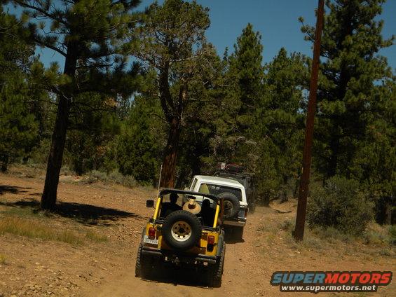 Yellow Jeep Wrangler and white Ford Bronco driving on a dirt road in a forest