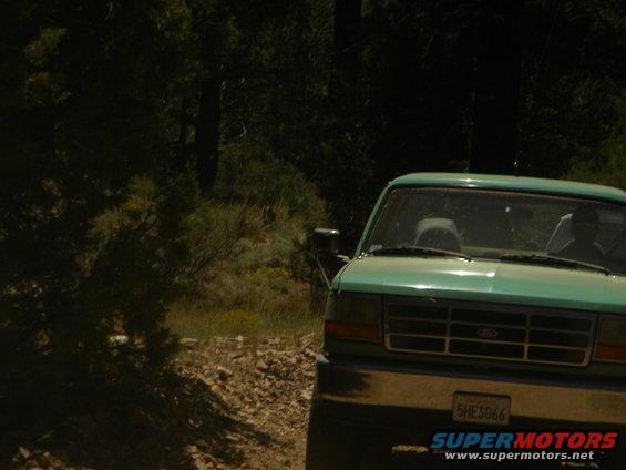 Green Ford F-Series truck on a dirt road