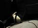 DSCN1409.JPG