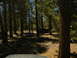 DSCN1410.JPG