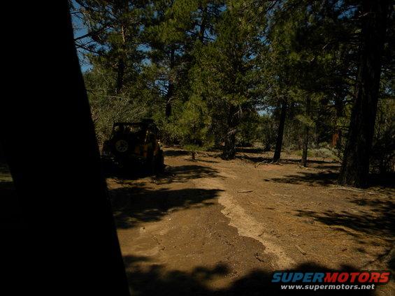 Yellow Jeep Wrangler parked on a dirt path in a forest