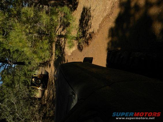 Yellow tractor parked on dirt road near pine trees. Dark vehicle in foreground