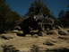 DSCN1435.JPG