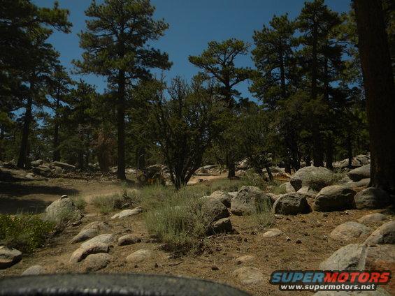 Off-road scene with pine trees, large rocks, and sparse vegetation under a clear blue sky