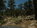 DSCN1439.JPG