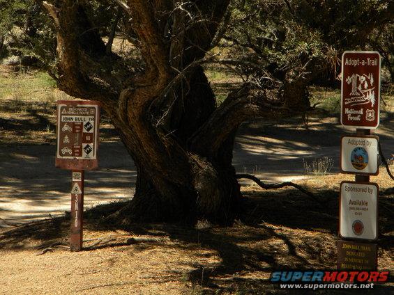 Trail signs near a large, gnarled tree in a dry, wooded area