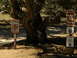 DSCN1441.JPG