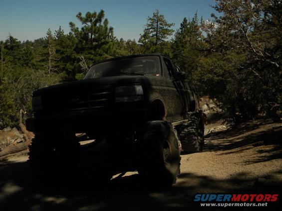 1992 Ford Bronco on a dirt road with trees in the background