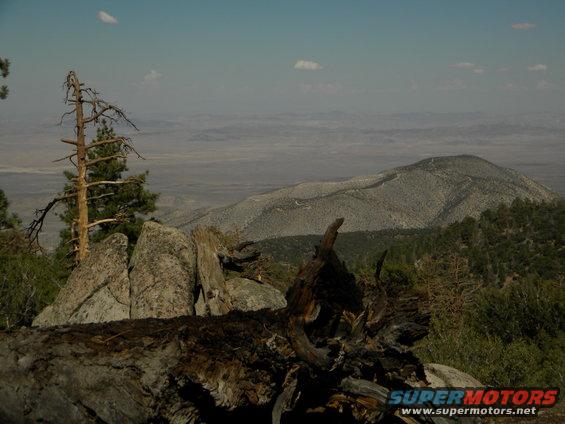 Desert landscape with mountains and dead trees