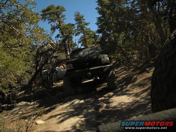 Black 1992 Ford Bronco on a wooded trail