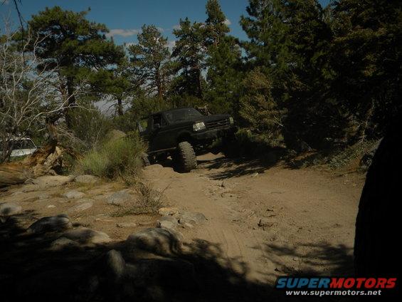 1992 Ford Bronco navigating a rocky, wooded trail