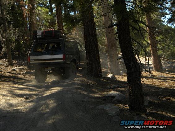 Dark SUV with camper shell driving on dirt road in forest