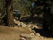 DSCN1605.JPG