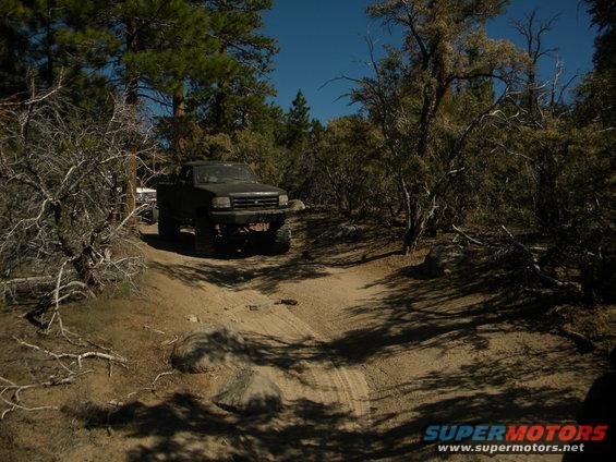 Dark pickup truck with lifted suspension on a dirt path, trees and bushes surround it