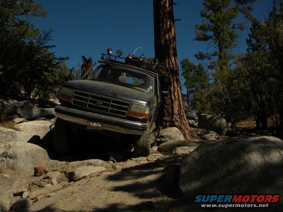 Dark gray 1992 Ford Bronco off-roading over rocks, leaning against a tree. Roof rack with lights visible