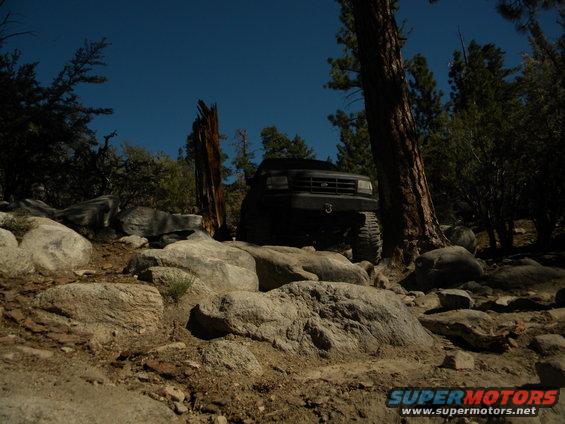 1992 Ford Bronco navigating a rocky trail with trees and blue sky