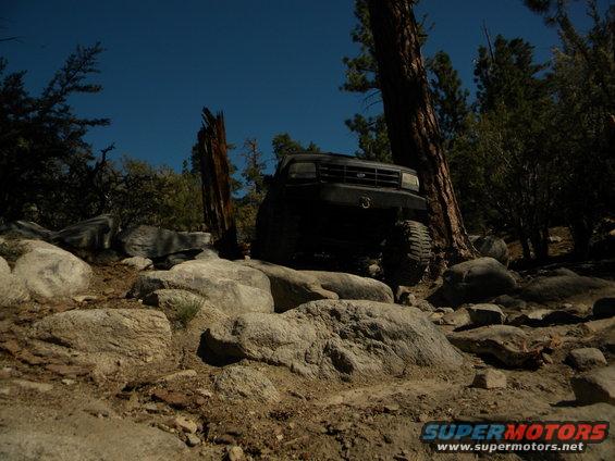 Black SUV navigating a rocky trail with trees and a clear blue sky