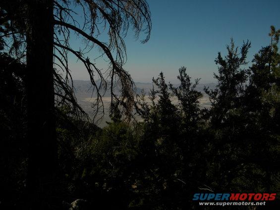 Desert landscape viewed through trees with Supermotors logo