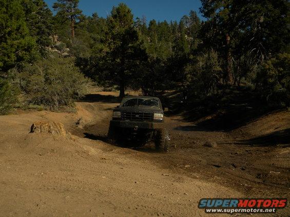 Ford Bronco driving through mud on a dirt trail with trees on either side
