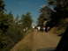 DSCN1663.JPG
