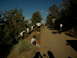 DSCN1667.JPG