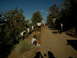 DSCN1668.JPG
