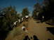 DSCN1669.JPG