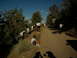 DSCN1671.JPG