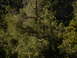 DSCN1672.JPG