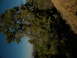 DSCN1673.JPG