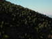 DSCN1675.JPG