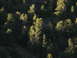 DSCN1676.JPG